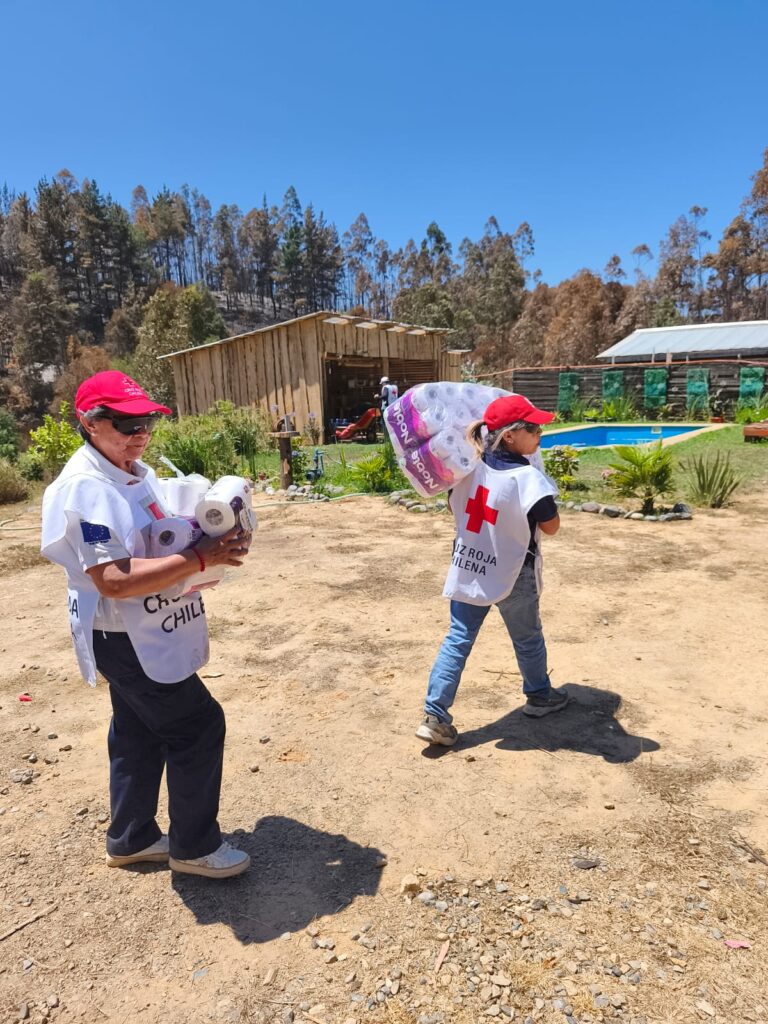 Cruz roja 3