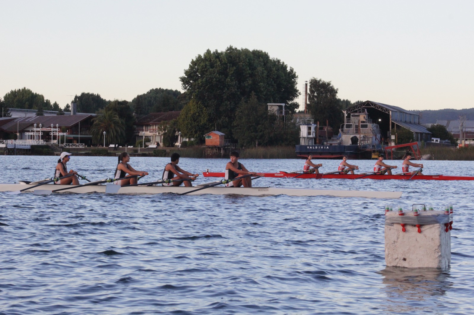 Regata 2