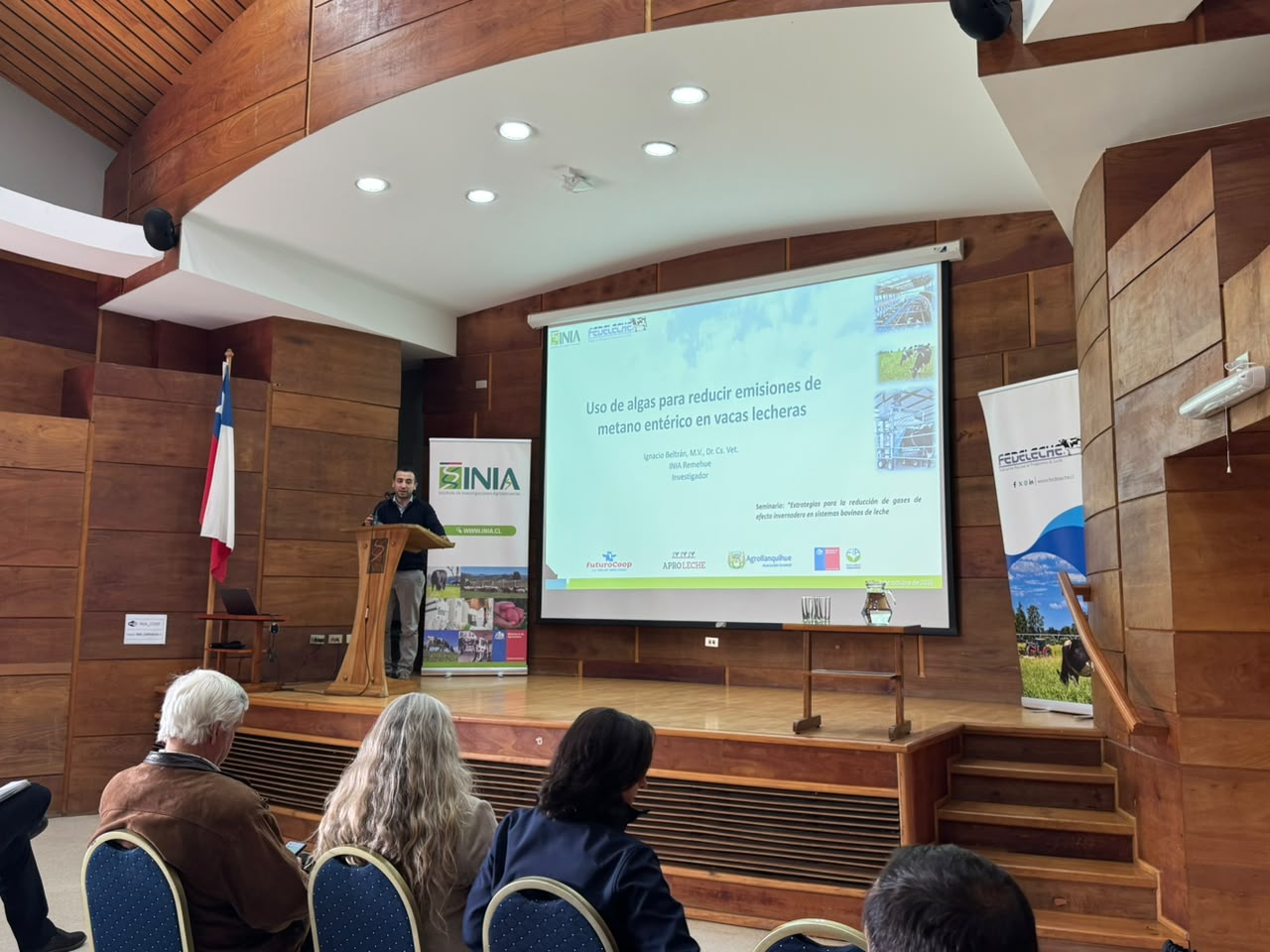 presentación 3